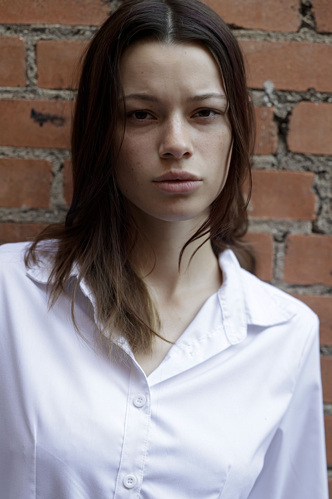 Commercial — button-down